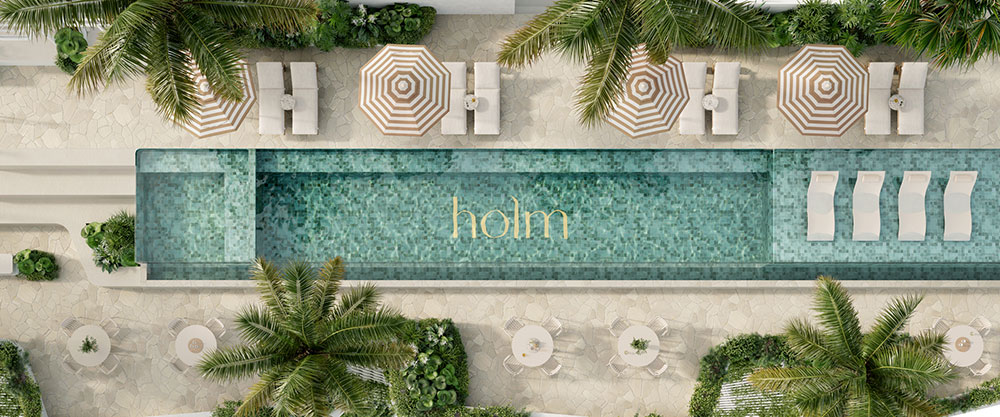 holm image